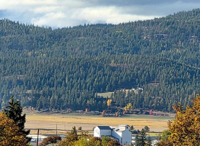 860 N Elm St, Colville, WA 99114