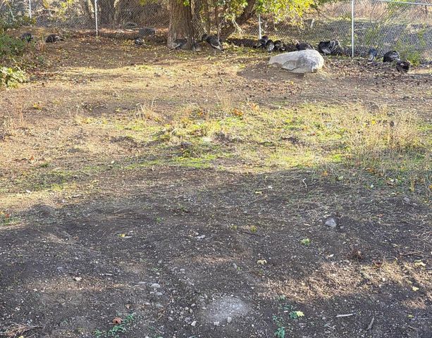 860 N Elm St, Colville, WA 99114