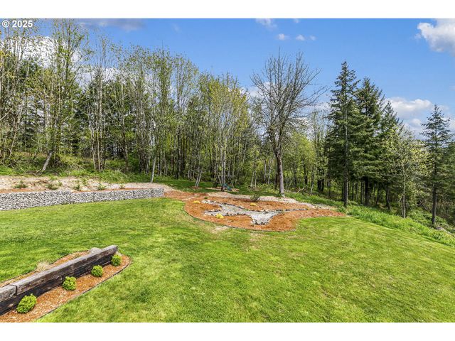 39313 Ne 143RD Pl, Amboy, WA 98601