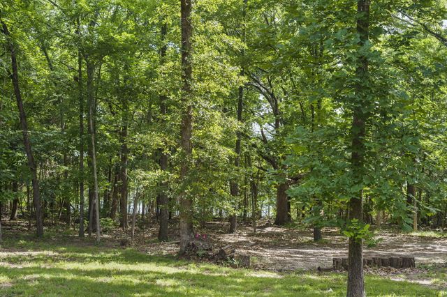 947 Breezy Point Lane, Kimberling City, MO 65686