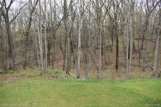 16255 Catalpa Ridge Drive, Holly Township, MI 48442