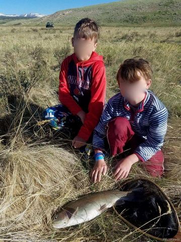 19425 Highway 285, Fairplay, CO 80440