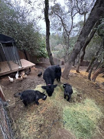 3954 Villa Ct, Fair Oaks, CA 95628