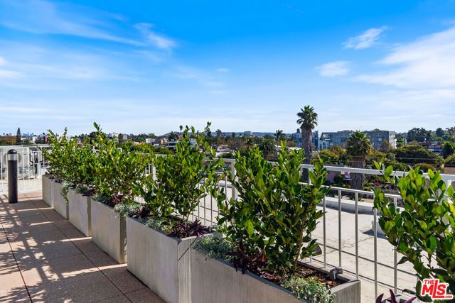 11908 Exposition Boulevard 403, Los Angeles, CA 90064