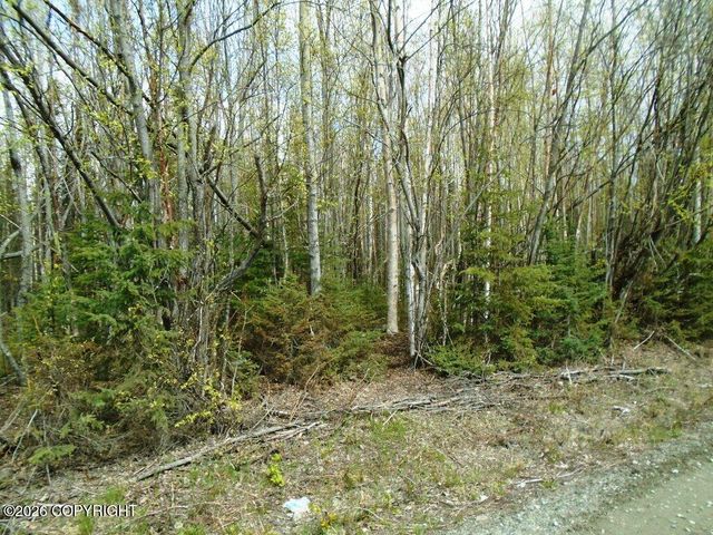 6703 S Lark Circle, Wasilla, AK 99623