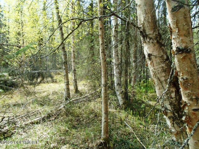 6703 S Lark Circle, Wasilla, AK 99623