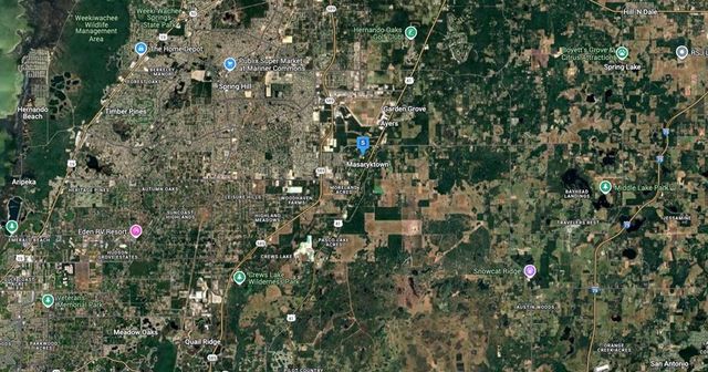1015 JENKINS AVENUE, Brooksville, FL 34604