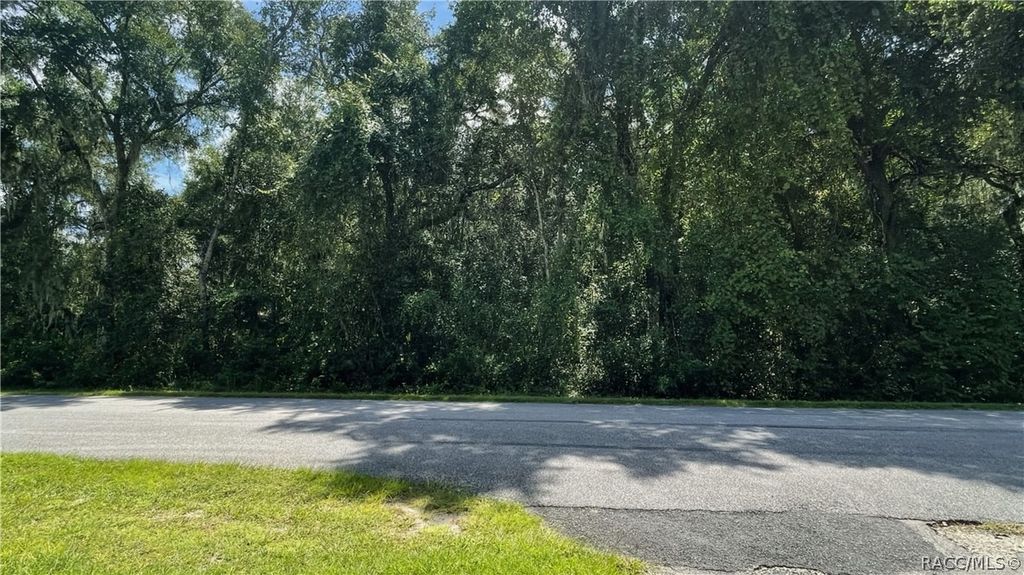 11682 E Hawk Lane, Floral City, FL 34436