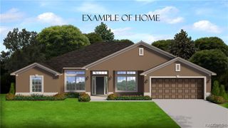 1111 W Cairo Drive, Citrus Springs, FL 34434