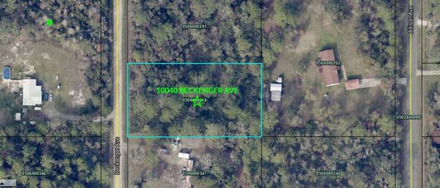 10040 Beckenger Avenue, Hastings, FL 32145