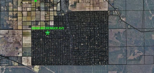 10040 Beckenger Avenue, Hastings, FL 32145