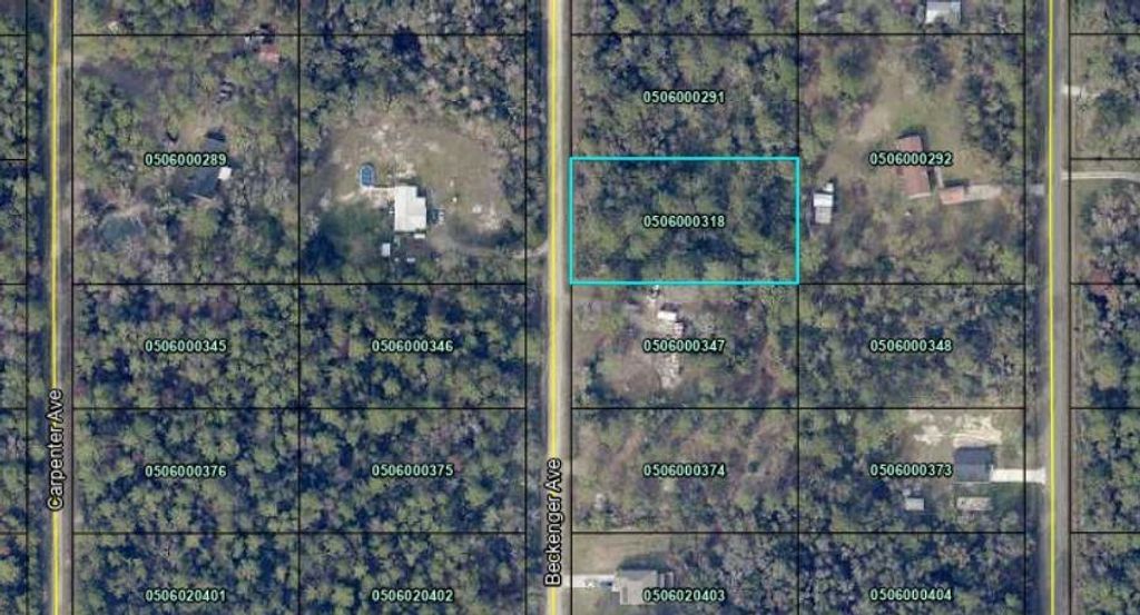 10040 Beckenger Avenue, Hastings, FL 32145