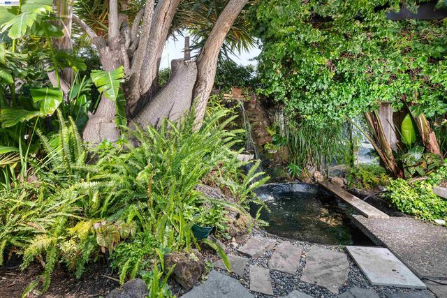 3229 Toyon Ter, Alameda, CA 94501
