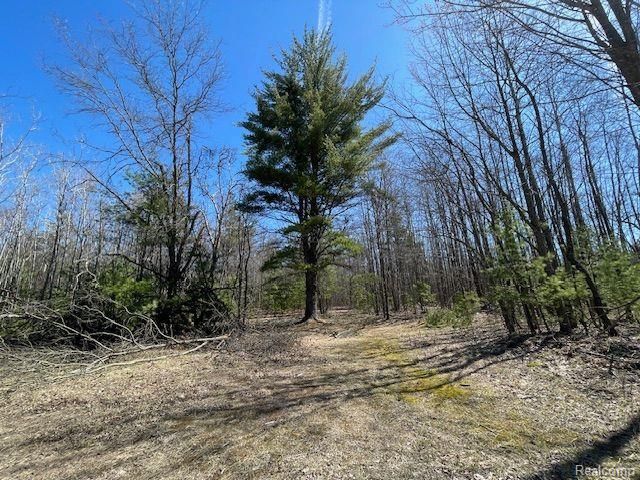 265 Huron Forest Drive, Mio, MI 48647