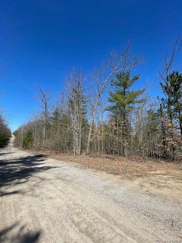 265 Huron Forest Drive, Mio, MI 48647