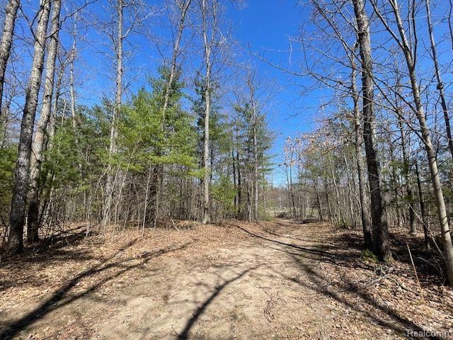 265 Huron Forest Drive, Mio, MI 48647