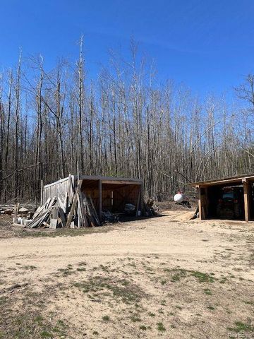 265 Huron Forest Drive, Mio, MI 48647