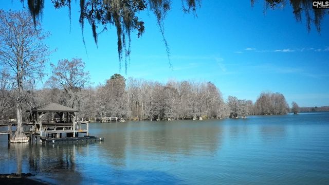 1108 Mulligan Drive, Manning, SC 29102