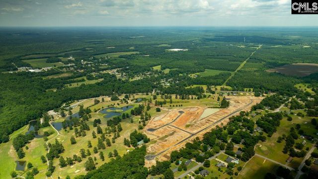 1108 Mulligan Drive, Manning, SC 29102