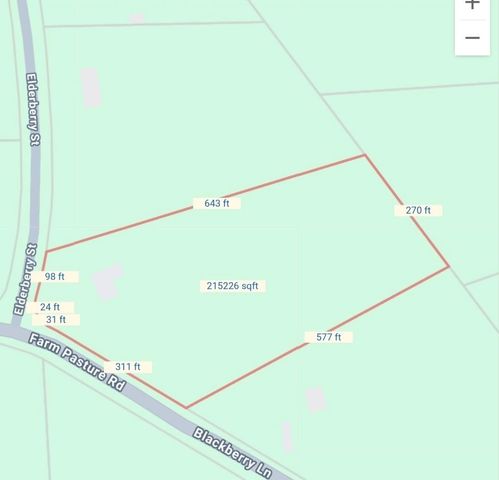10 Elderberry Road, Shepherd, TX 77371