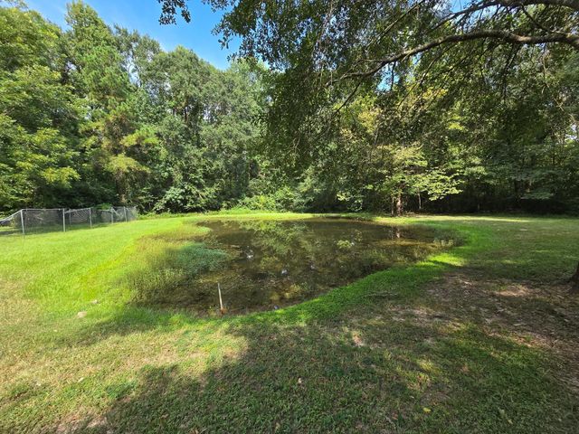 10 Elderberry Road, Shepherd, TX 77371
