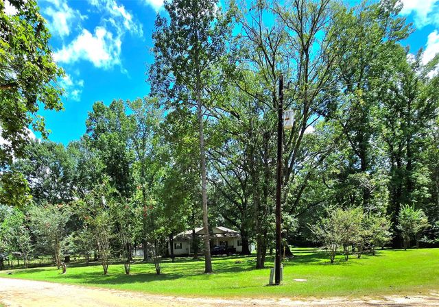 10 Elderberry Road, Shepherd, TX 77371