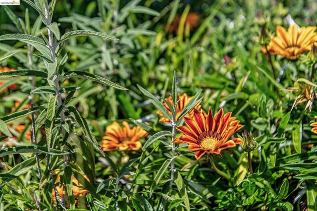 5705 Panama Ave, Richmond, CA 94804