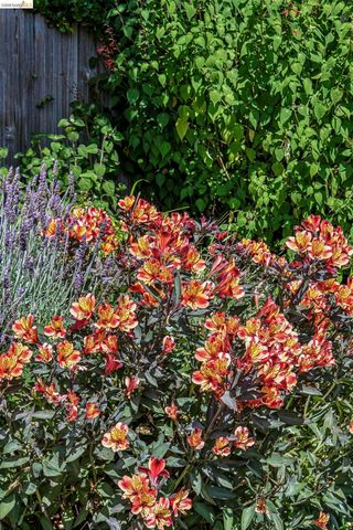 5705 Panama Ave, Richmond, CA 94804