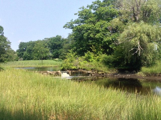 12 Runnymede Drive, North Hampton, NH 03862