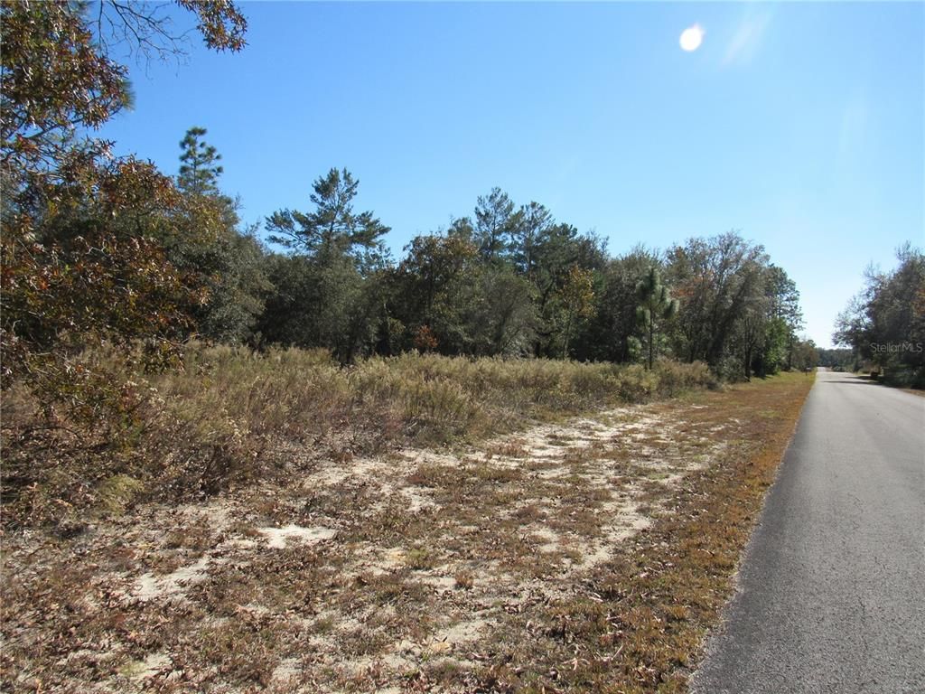0000 SW SANDS POINT AVE LOT 38, Dunnellon, FL 34431