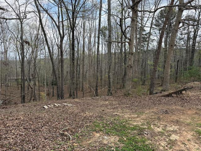 3467 Carver Mill Road, Talking Rock, GA 30175
