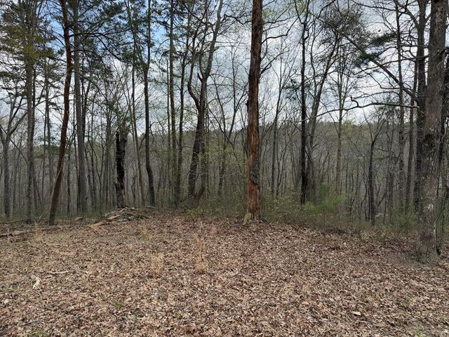 3467 Carver Mill Road, Talking Rock, GA 30175