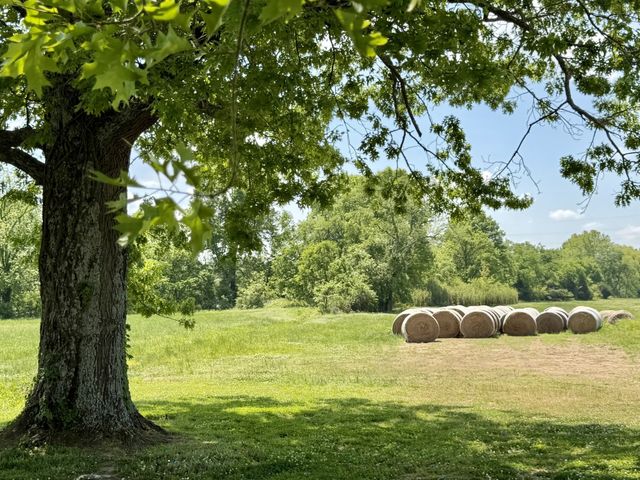 1538 Divine Court, Arrington, TN 37014