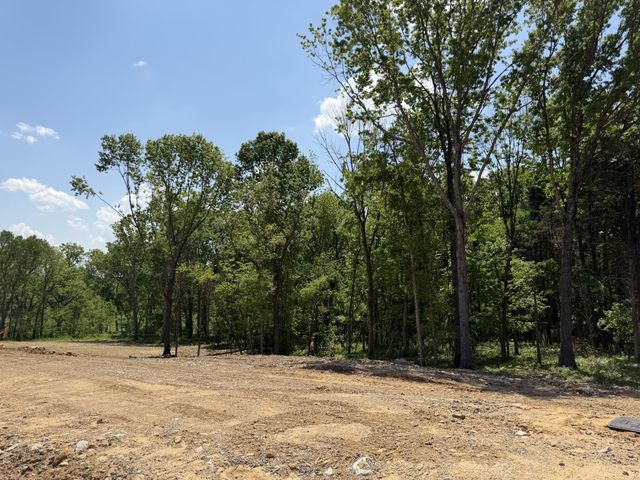 1538 Divine Court, Arrington, TN 37014