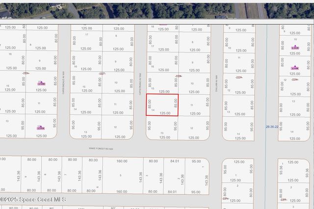 1615 Capistrano Avenue NW, Palm Bay, FL 32907