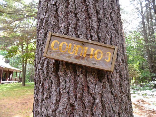 1912 Godbold Road, Alger, MI 48610