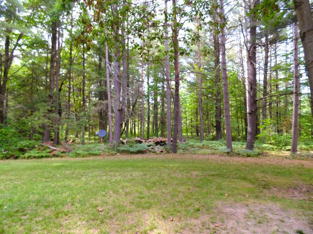 1912 Godbold Road, Alger, MI 48610