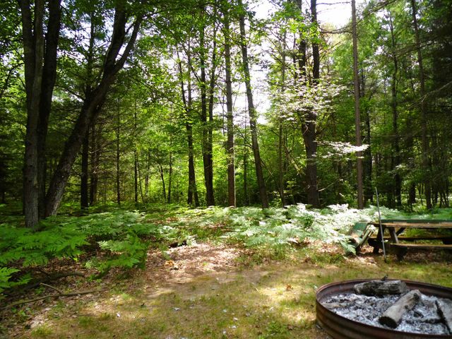 1912 Godbold Road, Alger, MI 48610