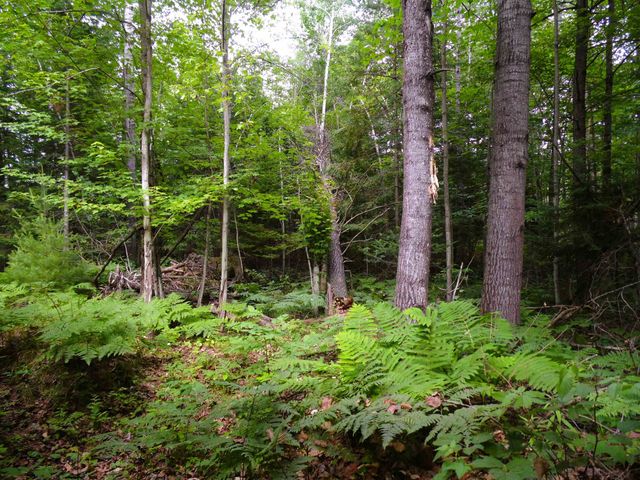 1912 Godbold Road, Alger, MI 48610
