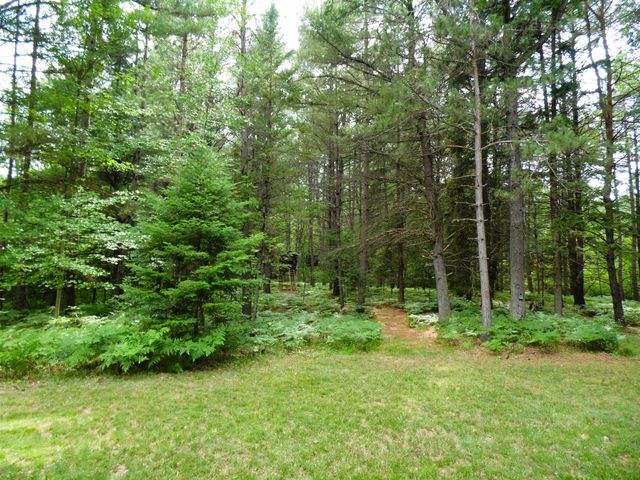 1912 Godbold Road, Alger, MI 48610