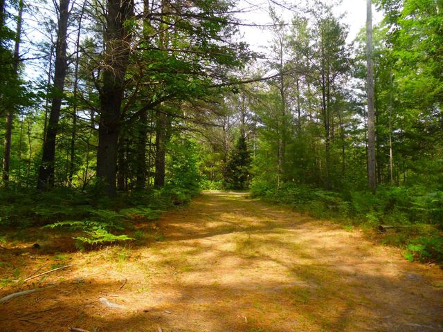 1912 Godbold Road, Alger, MI 48610