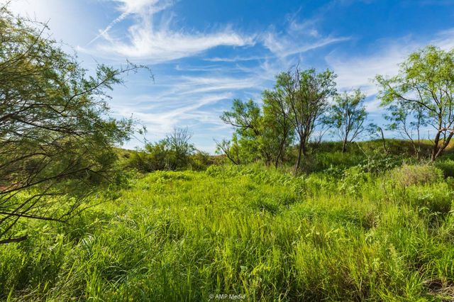 TBD FM 610, Rotan, TX 79546