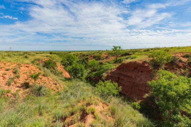 TBD FM 610, Rotan, TX 79546