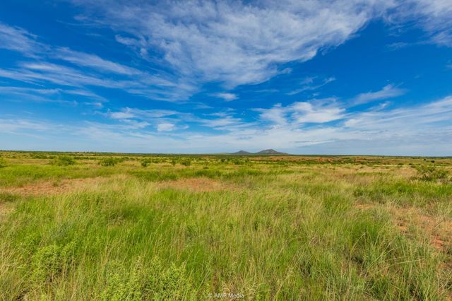 TBD FM 610, Rotan, TX 79546