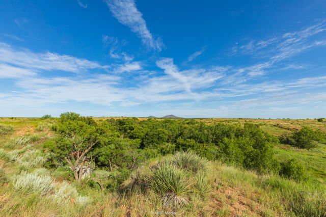 TBD FM 610, Rotan, TX 79546