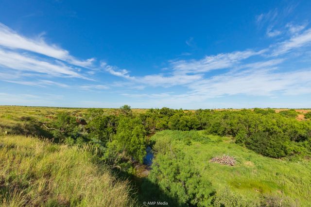 TBD FM 610, Rotan, TX 79546