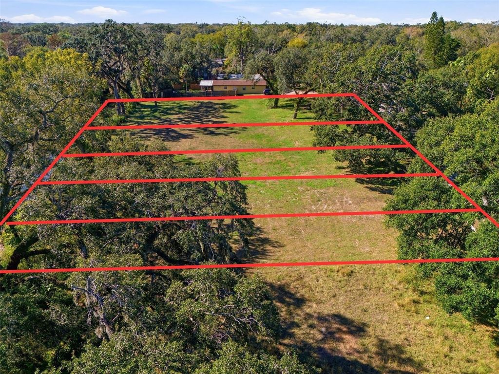 Image 8 of property listing at 2011 E MULBERRY DRIVE, Tampa, FL 33604