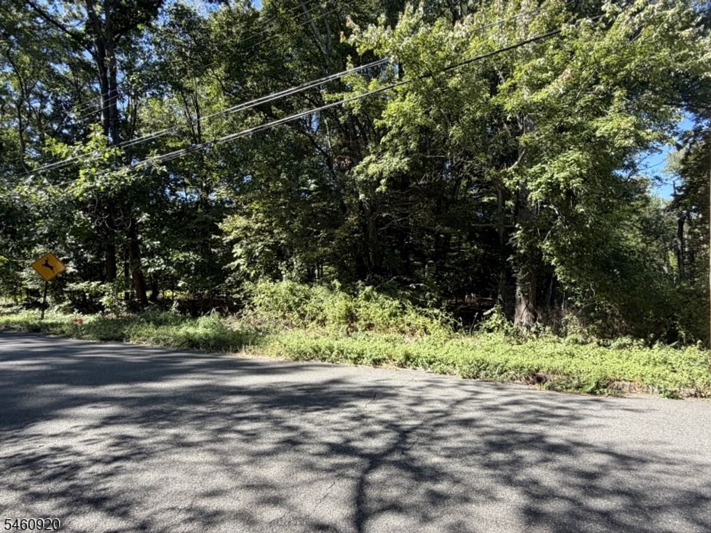 74 Preston Rd, Parsippany-troy Hills Twp., NJ 07054 — photo 2