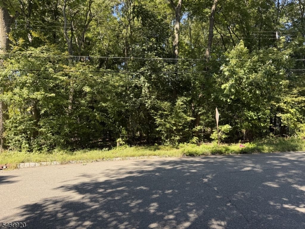 74 Preston Rd, Parsippany-troy Hills Twp., NJ 07054 — photo 3