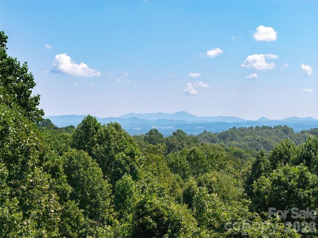 288 Roberts Drive, Laurel Park, NC 28739